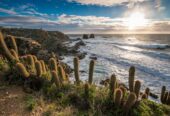 Panoramica-Playa-1