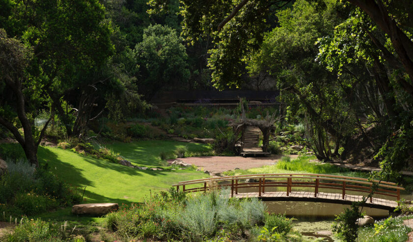 Parque-Tricao-Chile-7