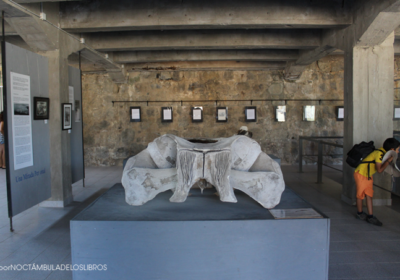 museo-quintay10-blog