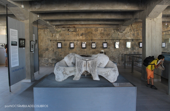 museo-quintay10-blog